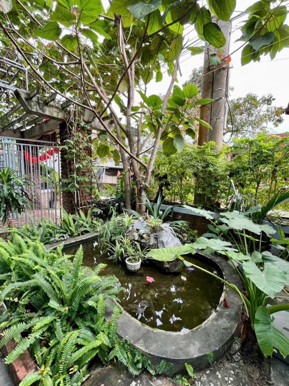 An An Homestay Bungalow Phong Nha Exterior photo